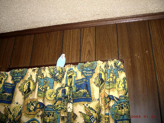 Picture 269.jpg